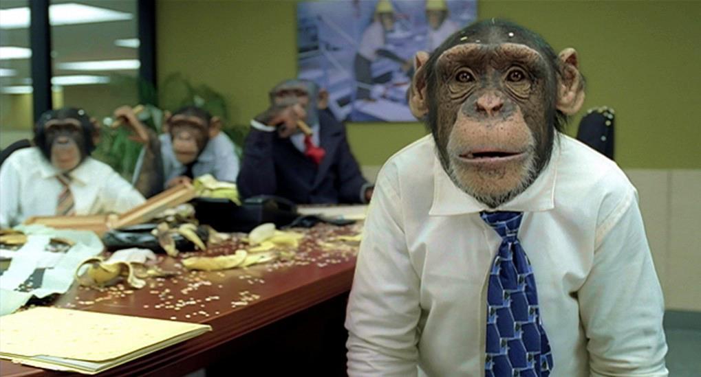 Life at the office